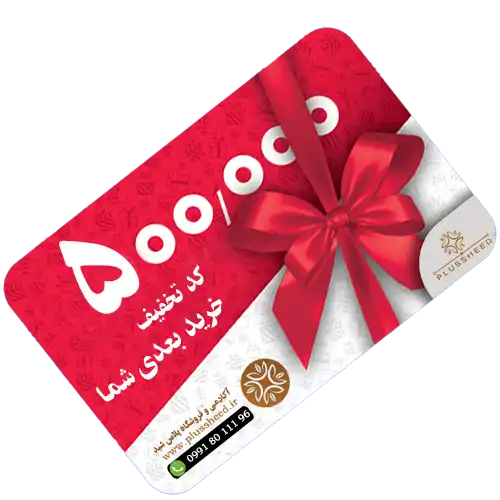 gift 500t 00001