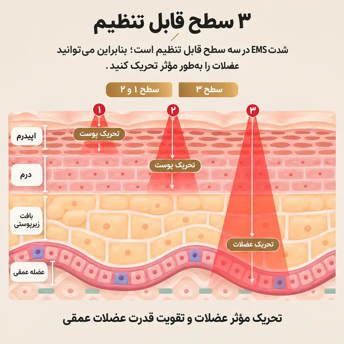 anlan-amfy51-multi-polar-beauty-device 00001 شدت ems دستگاه زیبایی چندقطبی ANLAN مدل AMFY51