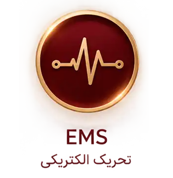 ems anlan 0001-2 تحریک الکتریکی (EMS) anlan